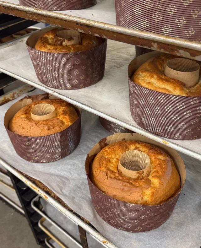The Wildflour Lemon Cakes are emerging from the oven perfectly timed for 🐣 Bursting with fresh lemon zest 🍋, these delightful treats evoke the essence of spring🌷⁠
#bigwoodbread #BWB #eatbigwoodbread #sunvalley #localfood #sustainable #GMOfree #bestlunch #freshbaked #freshbread #freshbagels #bagels #bread #localhoney #cookies #lemoncake #eastercake